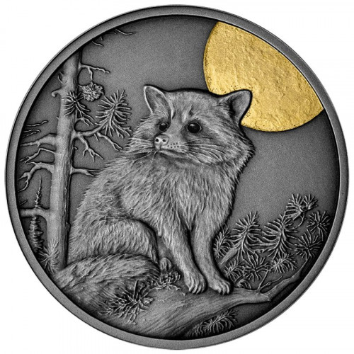 Sudraba monēta - Nakts mednieki - Jenots 17.50 g, 999