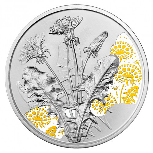 Sudraba monēta - Ziedu valoda - Pienene 16,82 g, 925
